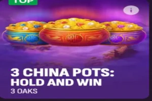 3 china pots