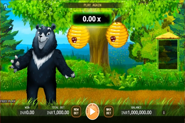 bear run 4