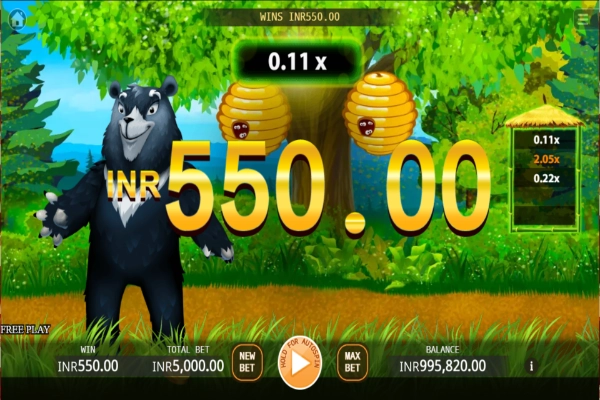 bear run 6