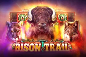 bison trail