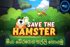 save the hamster